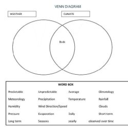 Venn similarities