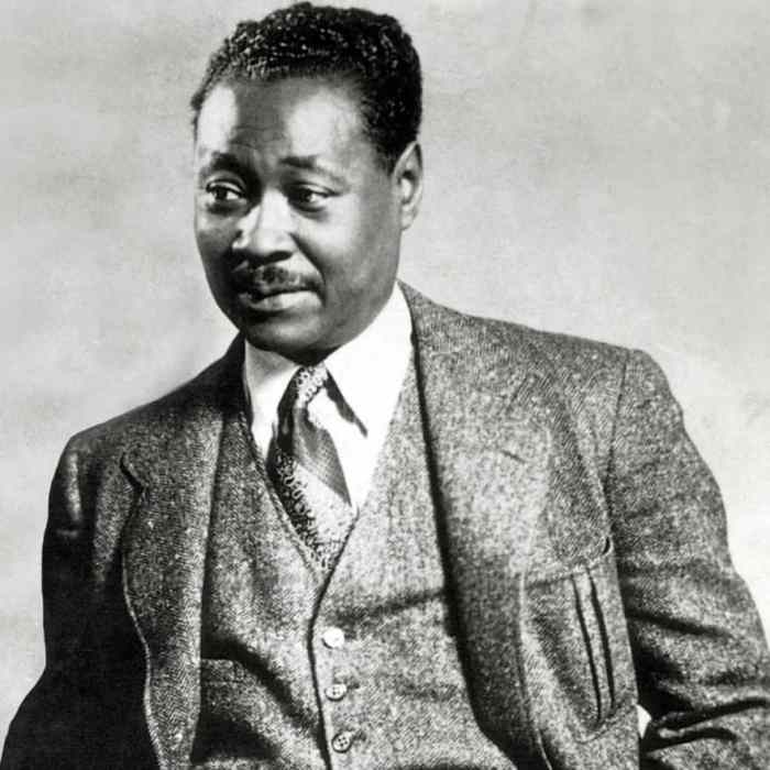 Harlem claude mckay dancer prezi