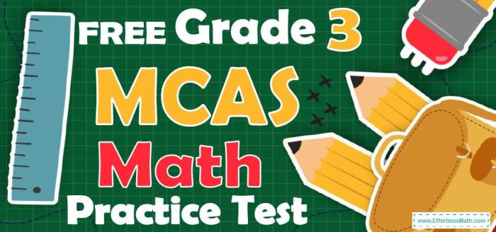 Mcas practice test math grade 10