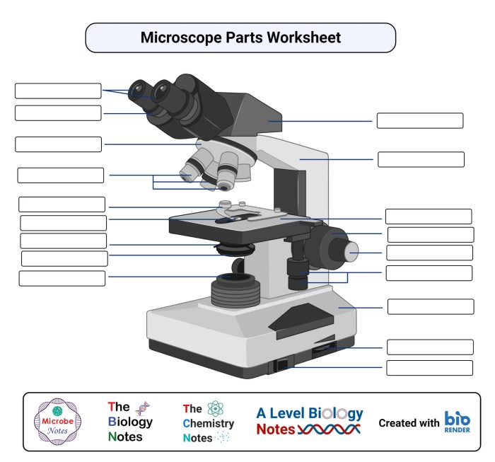 Label parts of microscope worksheet