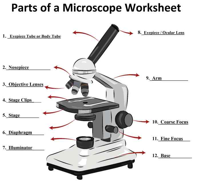 Label parts of microscope worksheet