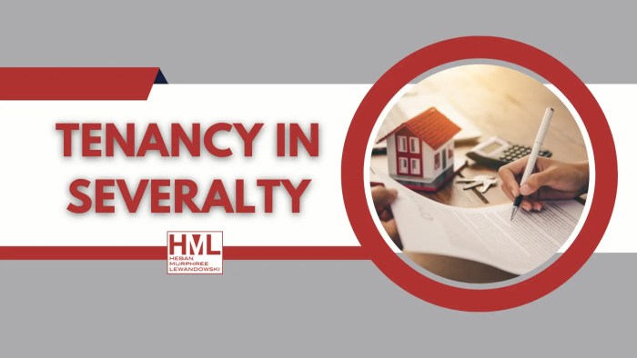 What is tenancy in severalty