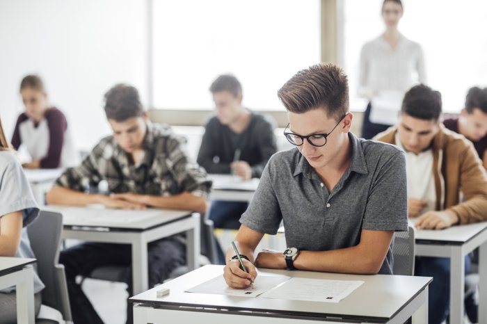 Cst students with disabilities test prep