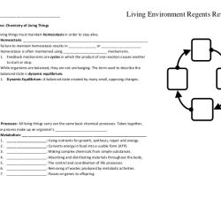 Regents living environment review packet