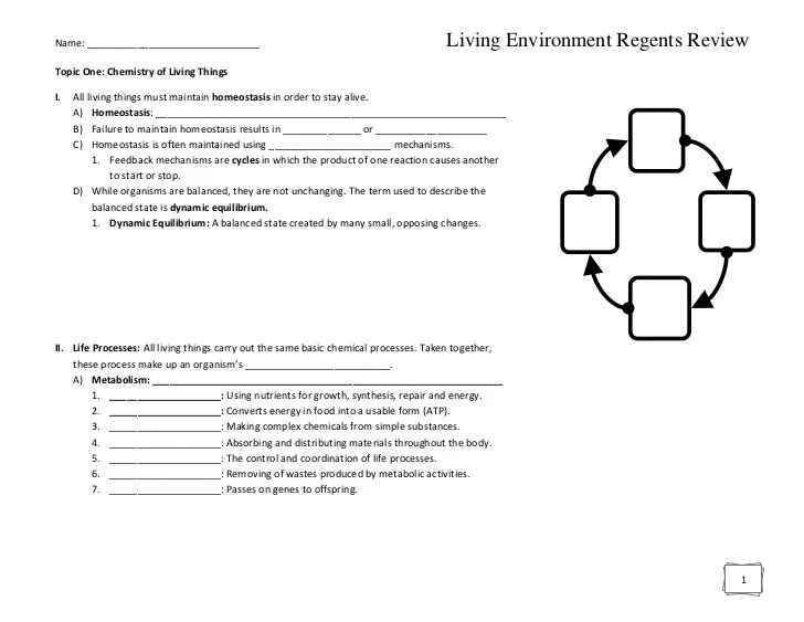 Regents living environment review packet