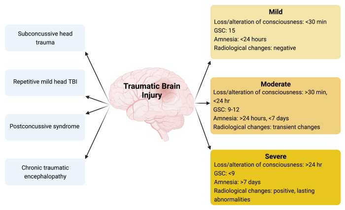 Traumatic brain injury case study hesi