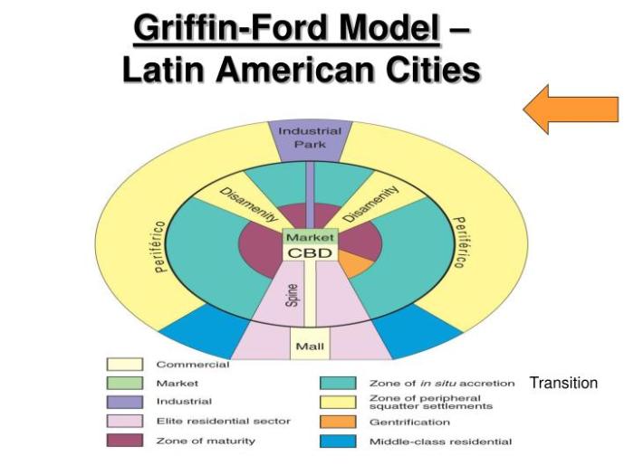 Disamenity sector ap human geography