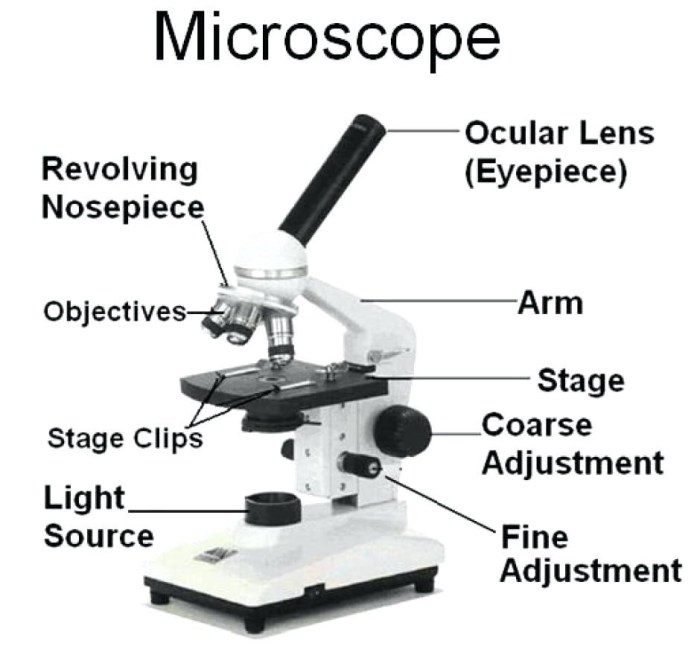 Label parts of microscope worksheet