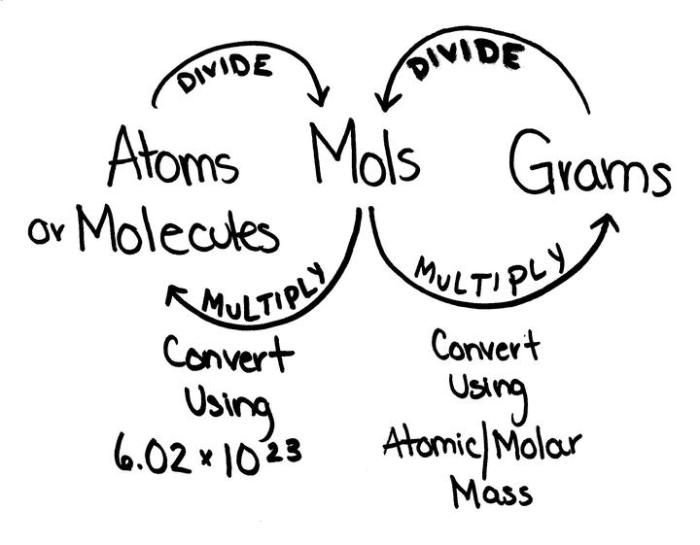 Grams to moles calculations worksheet