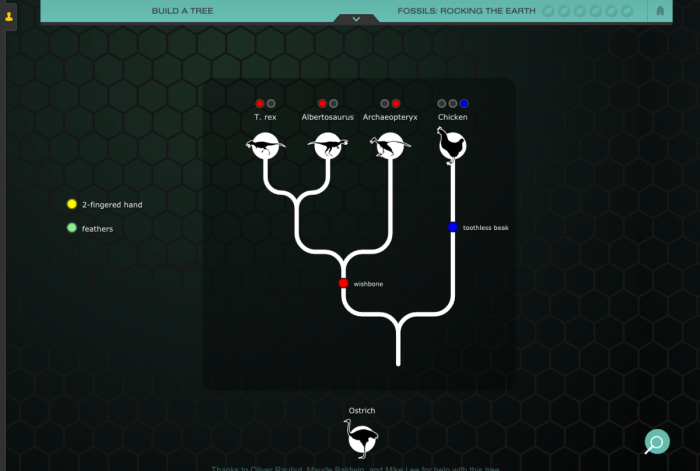 Nova labs the evolution lab mission 2 answer key