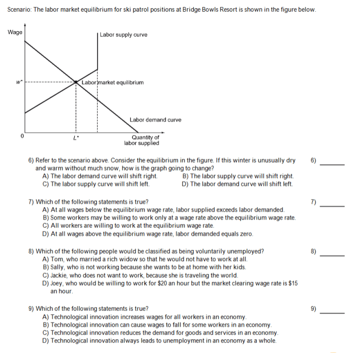 Which scenario exemplifies an individual in the external labor market